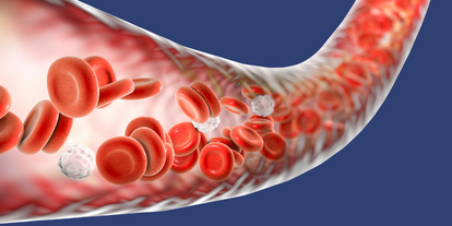 Illustration of blood cells flowing through a blood vessel. The image includes numerous red blood cells and a few white blood cells, depicting the structure and function of blood circulation within the human body. The background is a gradient of blue.
